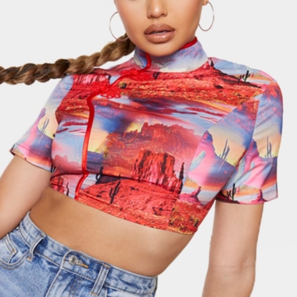 PrettyLittleThing Crop